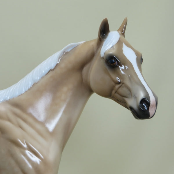CHAMP - OOAK Dapple Sooty Palomino Stock Horse Gloss Model Horse - 4/15