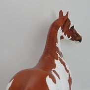 AWESOME ANGEL - Chestnut Paint  Mare 2015 SHCF  LE18 4/15