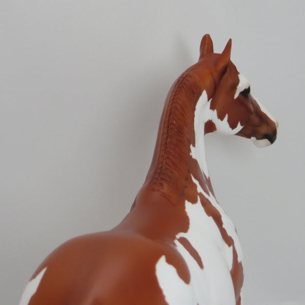 AWESOME ANGEL - Chestnut Paint  Mare 2015 SHCF  LE18 4/15