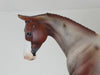 RUTHERFORD HAYES - OOAK Red Roan Palouse 2/15