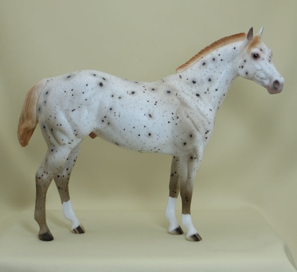 SHIMMER - OOAK Ratty Mane Chestnut Appaloosa Stock Horse 4/15