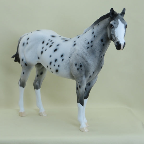 HOODWINK - Leopard Appaloosa Stock Horse LE7 3/15