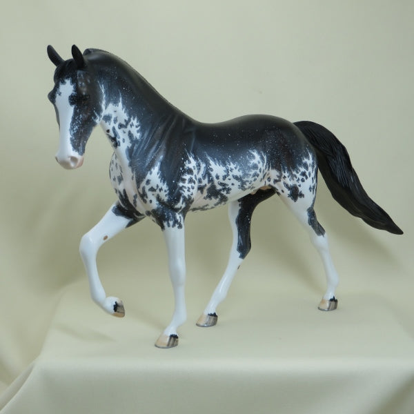 CHIPPEWA FALLS - OOAK Black Sabino Pinto Tennessee Walker with Mapping - 4/15