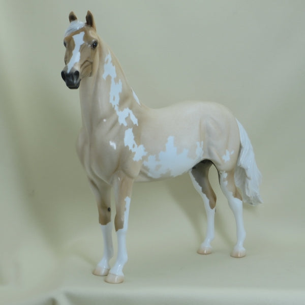 PALL MALL - OOAK Palomino Roan Pinto Morgan 4/15