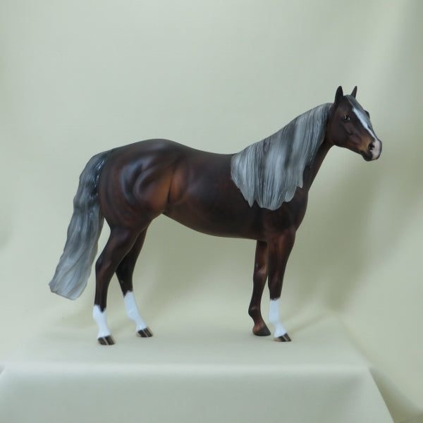 GO LEAN - OOAK Dapple Silver Bay Stock Horse 4/15
