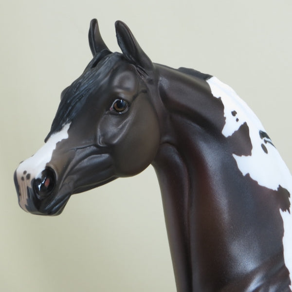 ST. MORITZ - OOAK Dark Bay Pinto Arabian Mare Model Horse - 4/15
