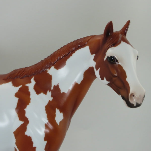 AWESOME ANGEL - Chestnut Paint  Mare 2015 SHCF  LE18 4/15