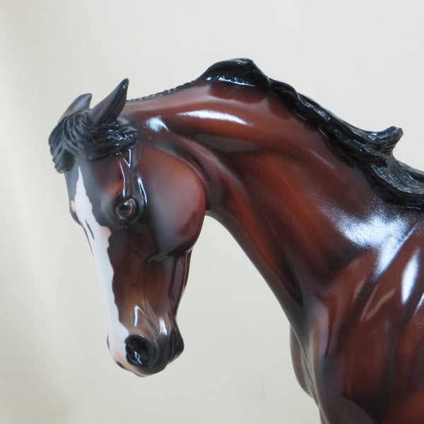 KEELAND - OOAK Bay Appaloosa Thoroughbred with Pinned Ears 4/15