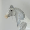 PARTLY SUNNY - OOAK Star Dapple Pinto Morgan 5/15