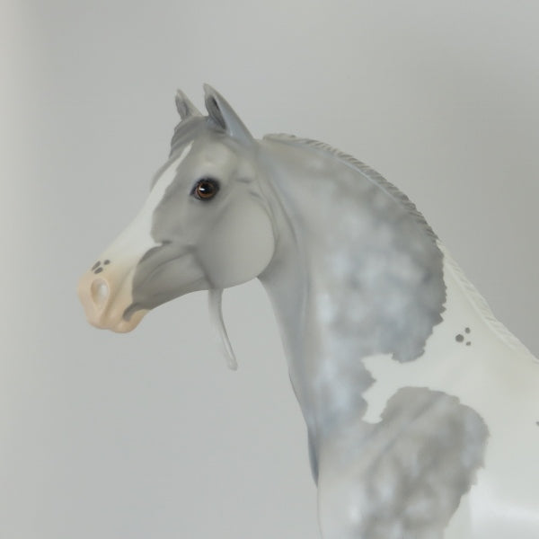 PARTLY SUNNY - OOAK Star Dapple Pinto Morgan 5/15