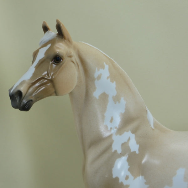 PALL MALL - OOAK Palomino Roan Pinto Morgan 4/15