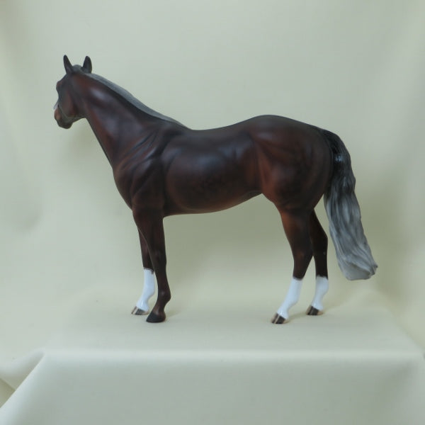GO LEAN - OOAK Dapple Silver Bay Stock Horse 4/15