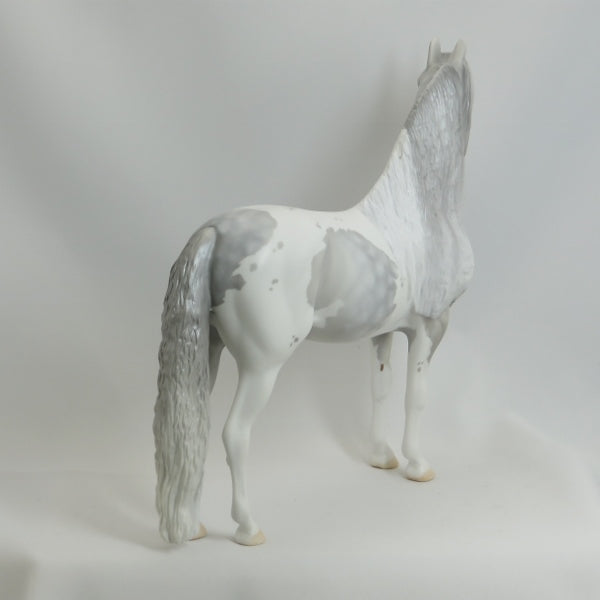 PARTLY SUNNY - OOAK Star Dapple Pinto Morgan 5/15