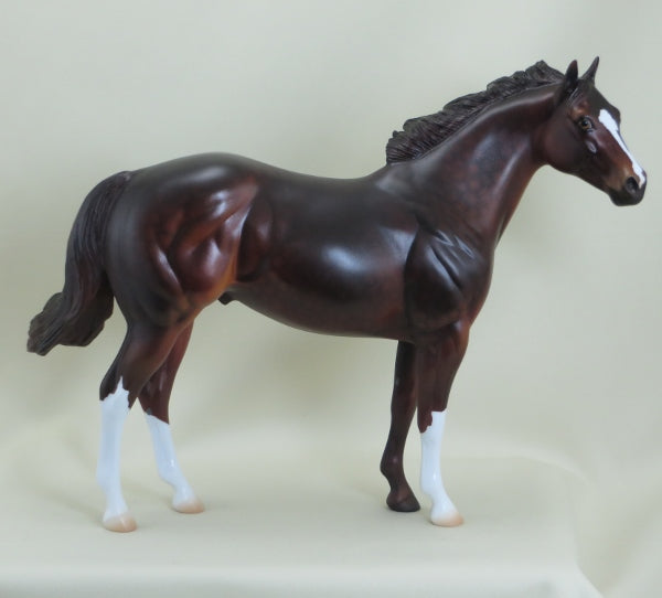 KEEGAN - OOAK Dapple Liver Chestnut Stock Horse 3/15