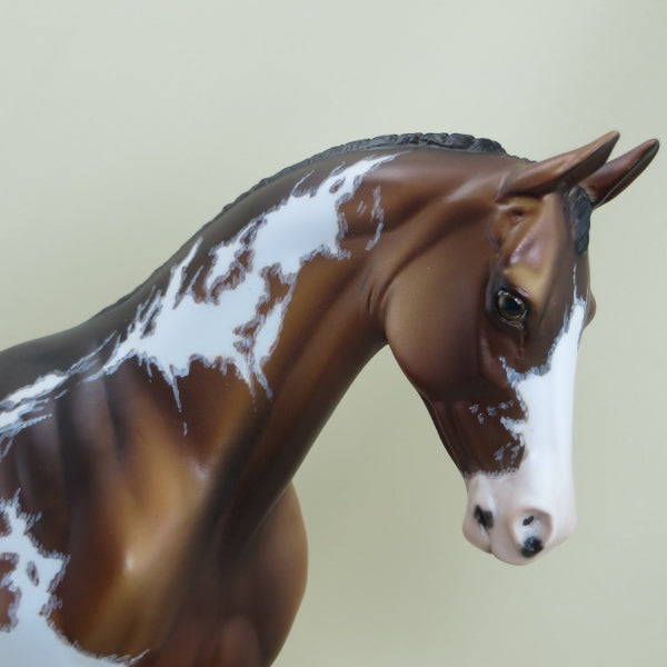 BROWNE - OOAK Dapple Bay Pinto Braided Thoroughbred with Mapping 3/15