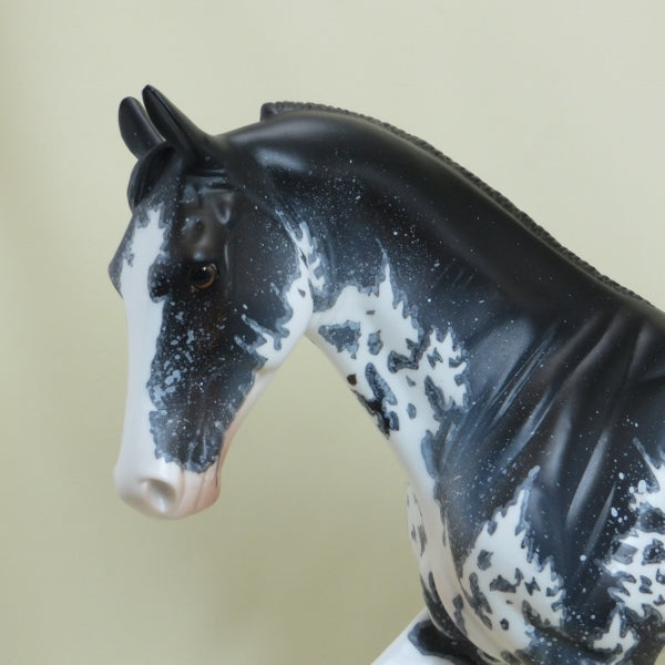 CHIPPEWA FALLS - OOAK Black Sabino Pinto Tennessee Walker with Mapping - 4/15