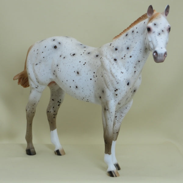 SHIMMER - OOAK Ratty Mane Chestnut Appaloosa Stock Horse 4/15