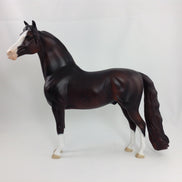 EDGAR - OOAK Morgan With Mapping