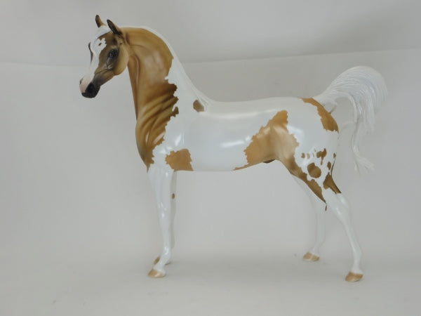 BUCHANAN - OOAK Dapple Palomino Pinto Arabian - 2/15