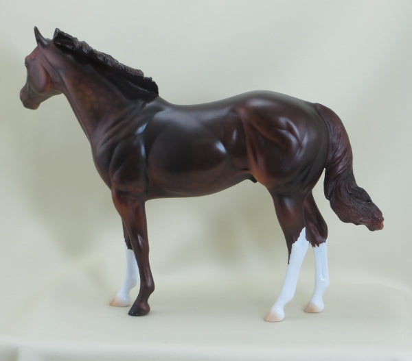 KEEGAN - OOAK Dapple Liver Chestnut Stock Horse 3/15