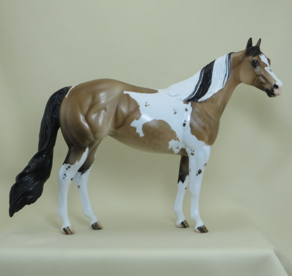 MENASHA - OOAK Dapple Buckskin Paint "Nickering" Stock Horse - 4/15