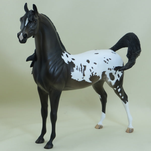 CHICKADEE - OOAK Dark Bay Appaloosa Open Mouth Arabian Mare 3/15