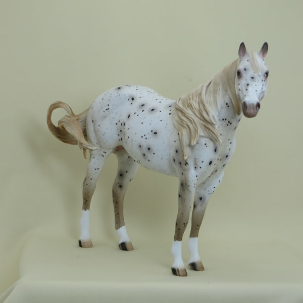 KARO - OOAK Dark Chestnut Appaloosa Stock Horse - 4/15