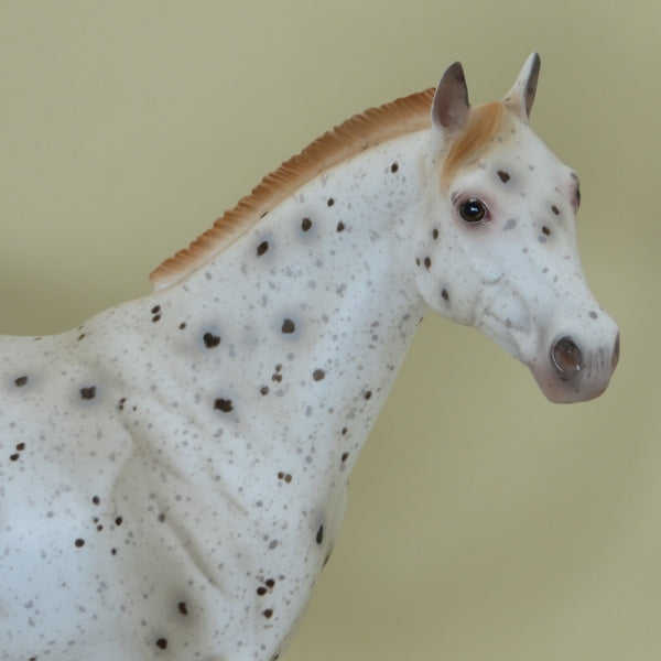 SHIMMER - OOAK Ratty Mane Chestnut Appaloosa Stock Horse 4/15