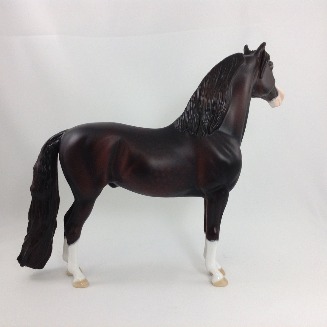 EDGAR - OOAK Morgan With Mapping