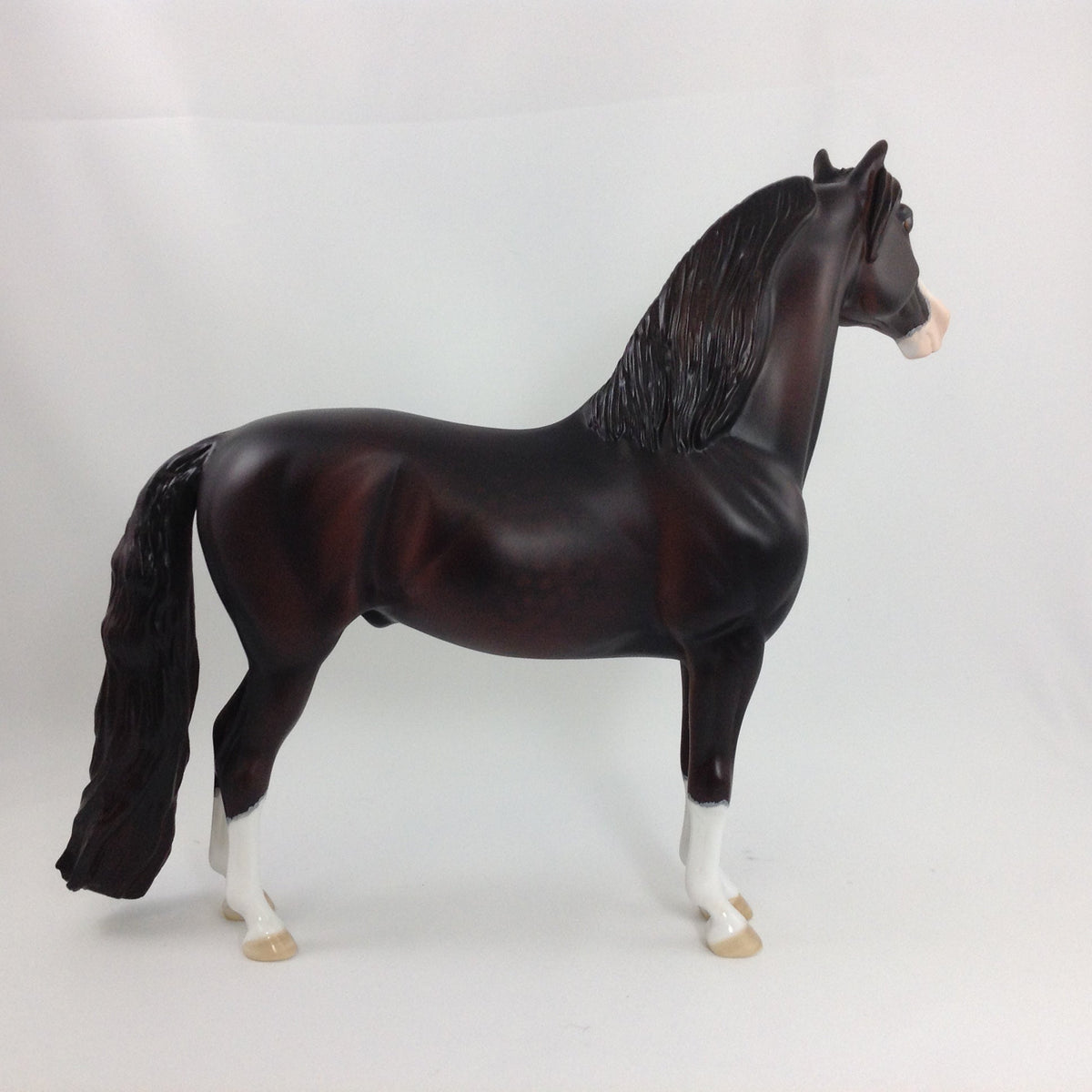 EDGAR - OOAK Morgan With Mapping