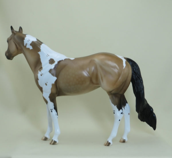 MENASHA - OOAK Dapple Buckskin Paint &quot;Nickering&quot; Stock Horse - 4/15