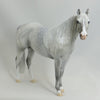FERNWOOD - OOAK Star Dapple Gray Stock Horse 5/15
