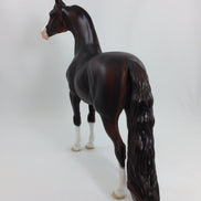 EDGAR - OOAK Morgan With Mapping