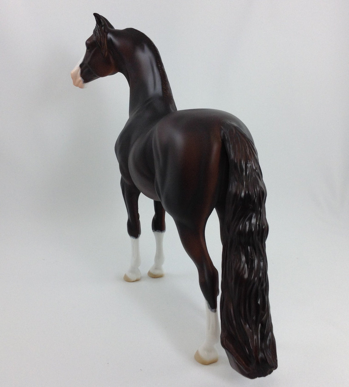 EDGAR - OOAK Morgan With Mapping