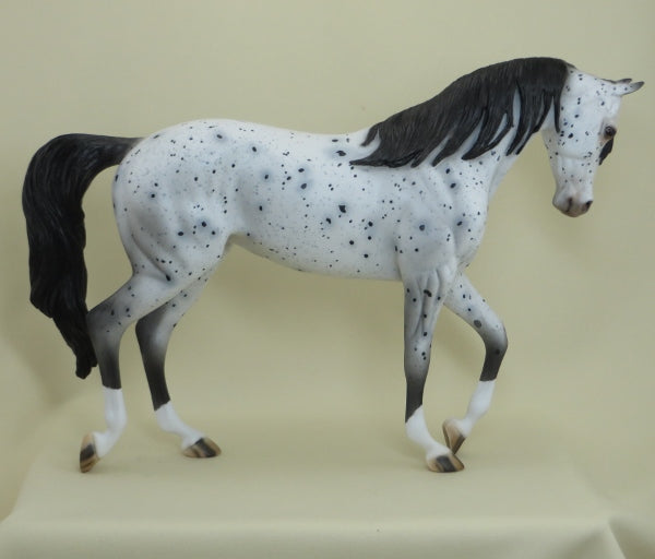PARISIENNE - OOAK Appaloosa Thoroughbred with Long Mane 4/15