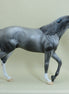 BALI SHAG - OOAK Gray Thoroughbred with Butterfly 4/15