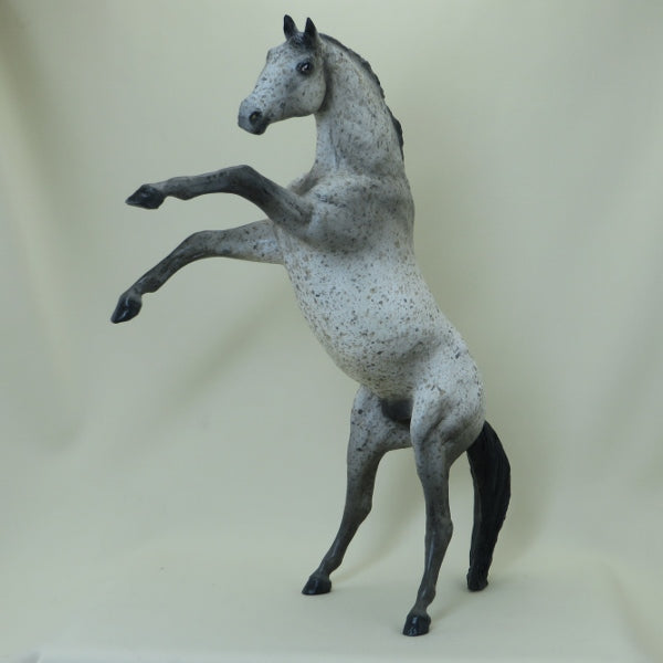 CRACKER JACK - OOAK Appaloosa Rearing Model Horse - 4/15