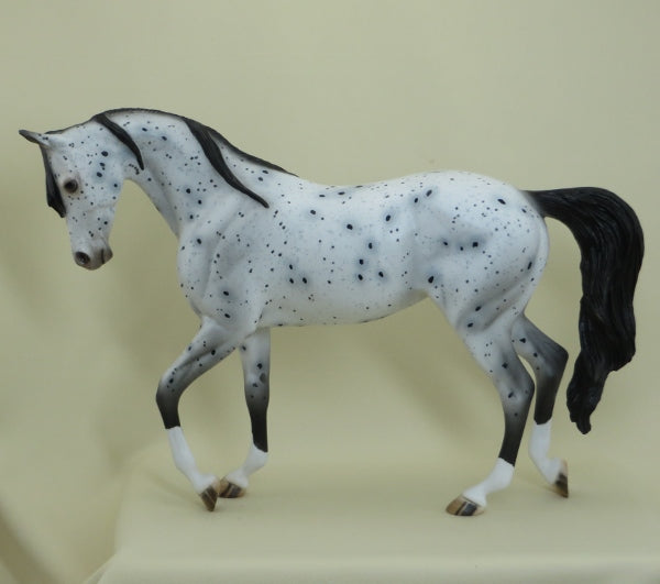 PARISIENNE - OOAK Appaloosa Thoroughbred with Long Mane 4/15