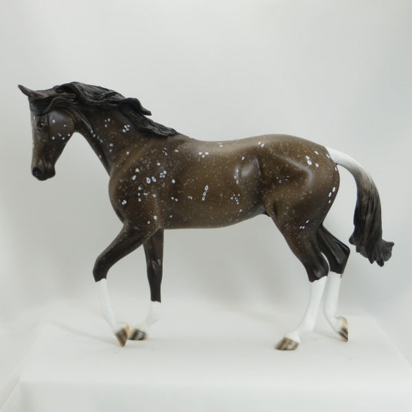 CHOCOE - OOAK Chocolate Dappled Thoroughbred - 5/15