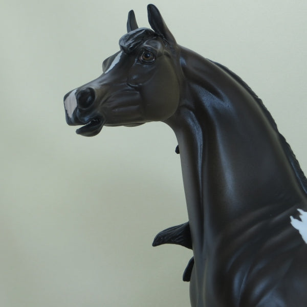 CHICKADEE - OOAK Dark Bay Appaloosa Open Mouth Arabian Mare 3/15