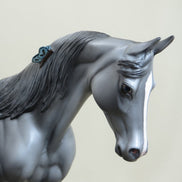 BALI SHAG - OOAK Gray Thoroughbred with Butterfly 4/15