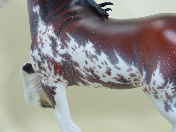 MASTER BLASTER - OOAK Extreme Mapped Bay Pinto with Blowing Strands 4/15