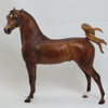 KENNEDY - OOAK Fiery  Dapple Chestnut Pinned Ear Arabian 2/15