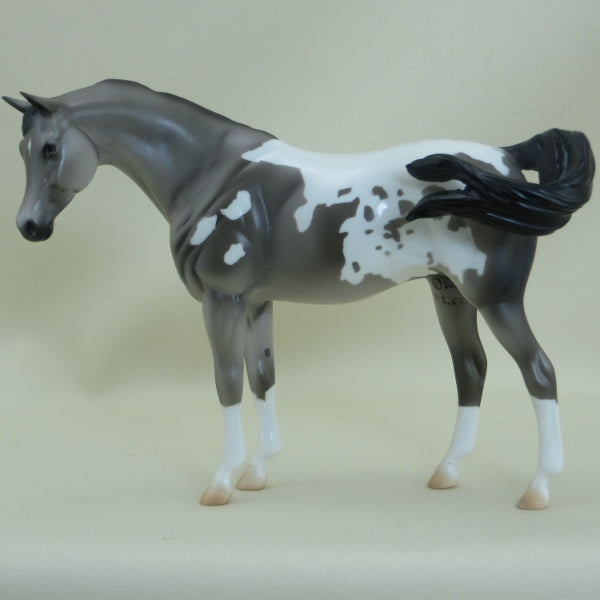 FITZGERALD - OOAK Gray Appaloosa Pebbles Arabian - 3/15