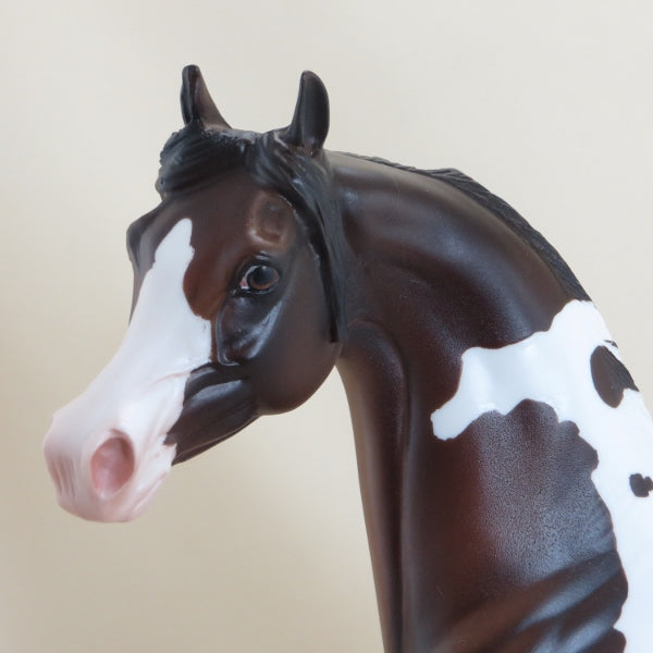 DAFFODILLY - OOAK Dark Bay Pinto Arabian Mare 3/15