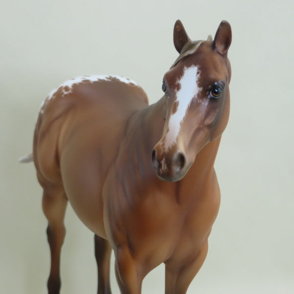 TADPOLE - OOAK Chestnut Blanket Appaloosa with Detailed Etching by Julie Keim - 3/15