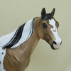 MENASHA - OOAK Dapple Buckskin Paint &quot;Nickering&quot; Stock Horse - 4/15