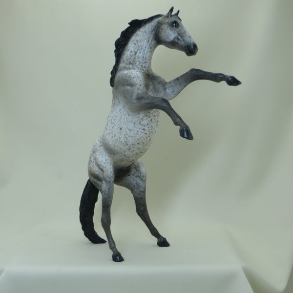 CRACKER JACK - OOAK Appaloosa Rearing Model Horse - 4/15