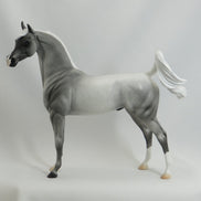 AMOS MOSES - Blue Roan Arabian LE3 5/15