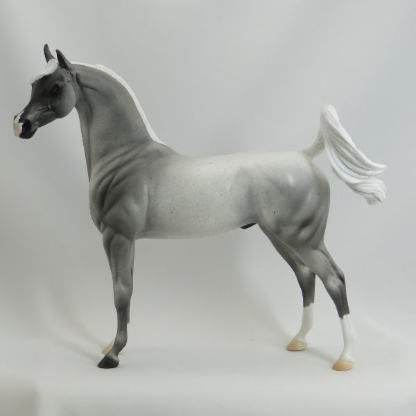 AMOS MOSES - Blue Roan Arabian LE3 5/15